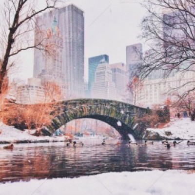 Group logo of Technology & Data Leadership Alliance